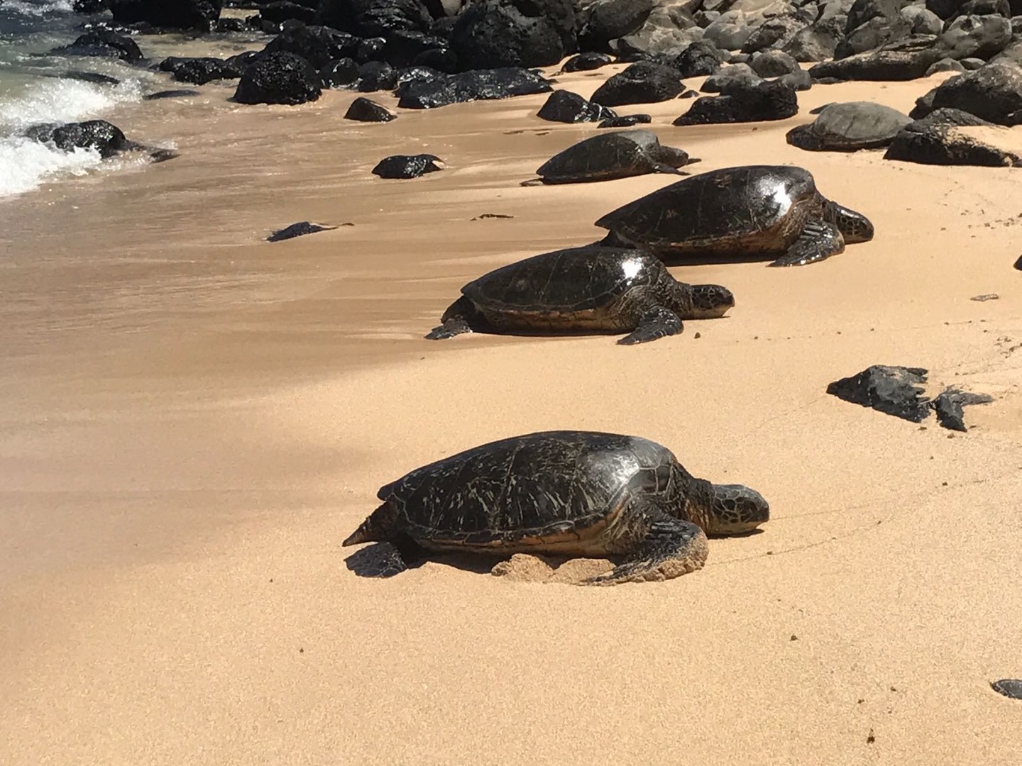 Road to Hana - Maui - Hawaii - Doets Reizen