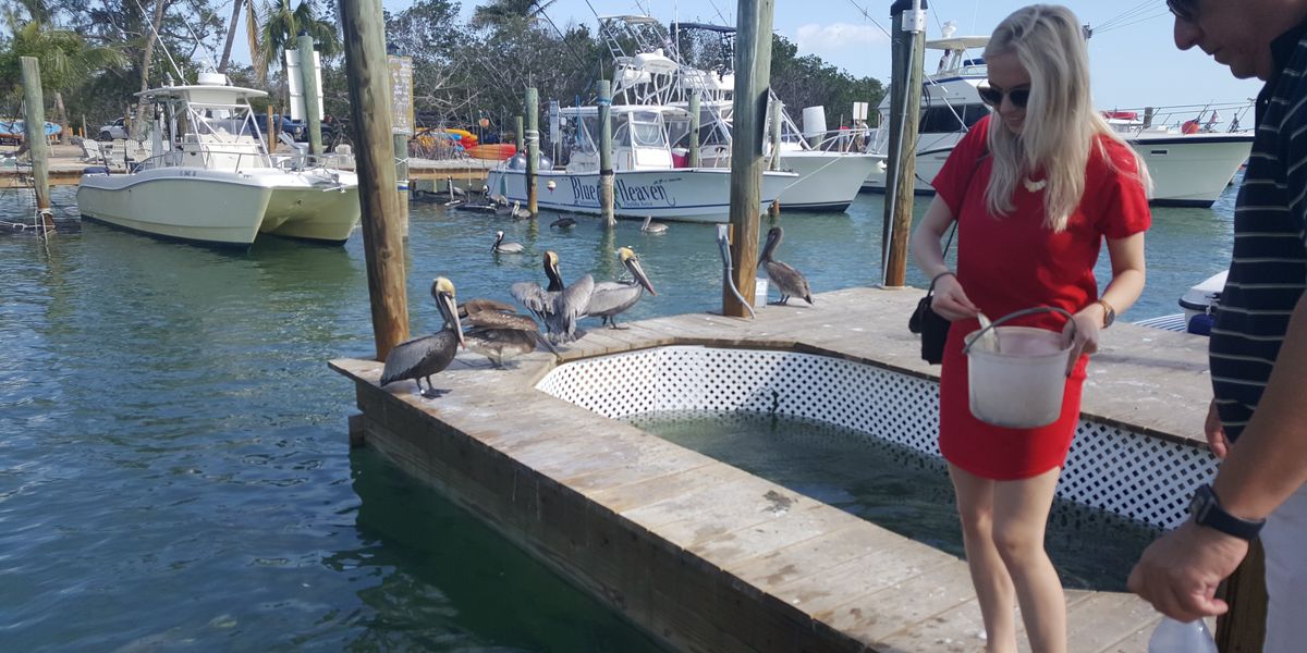 Robbie's Marina - Islamorada - The Keys - Florida - Doets Reizen