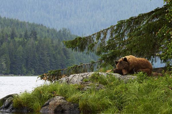 Knight Inlet Lodge - British Columbia - Canada - Doets Reizen