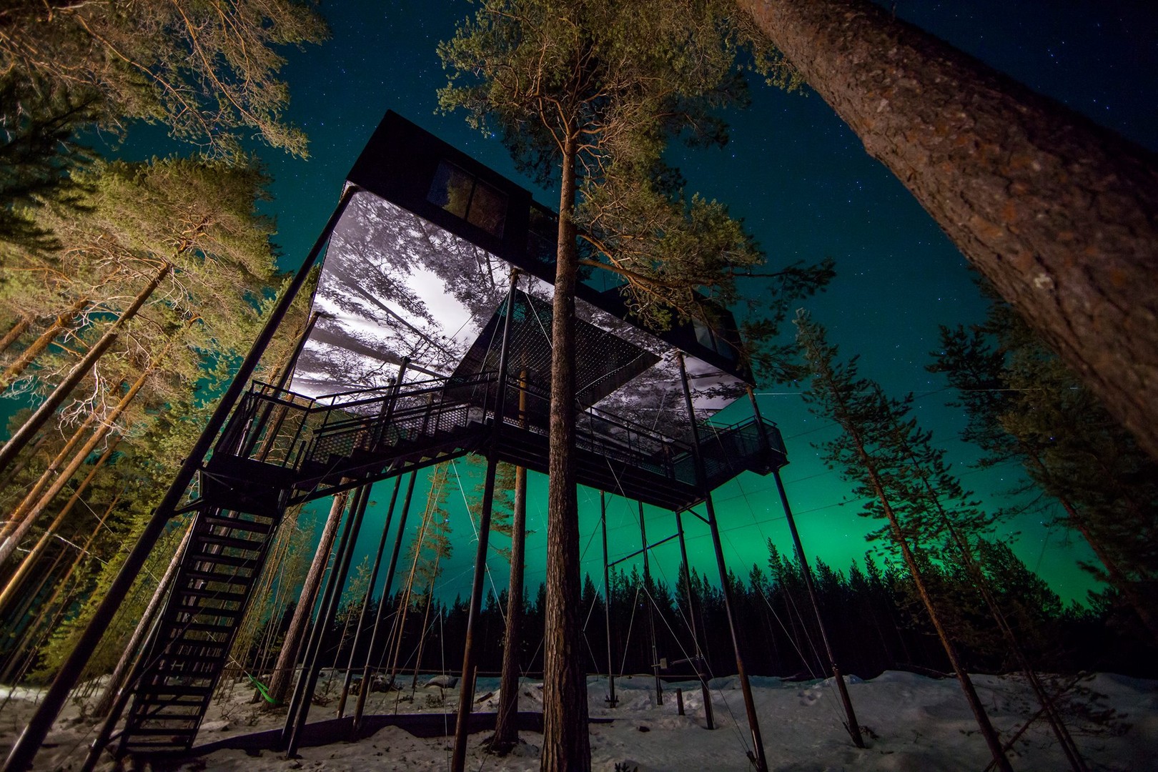 Treehotel in Zweden - Vakantie Zweden - Doets Reizen