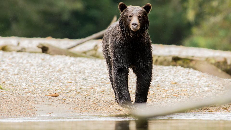 Seawolf Adventures - British Columbia - Canada - Doets Reizen