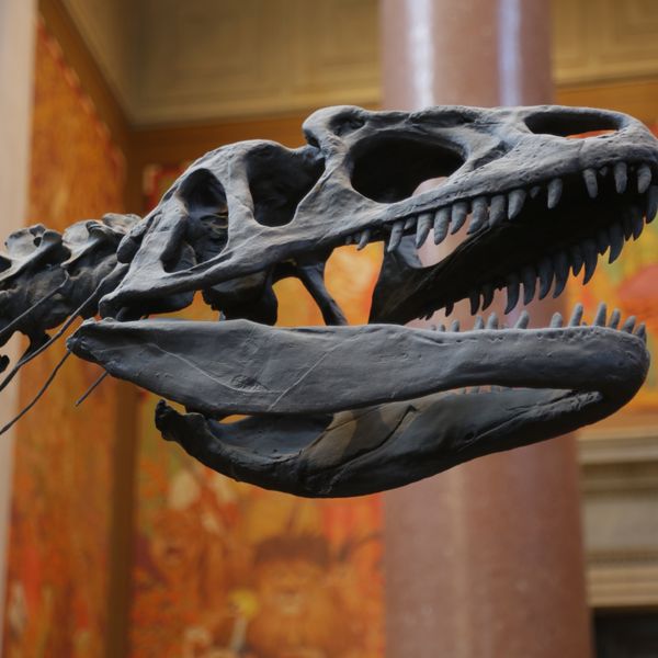 Museum - New York - Doets Reizen