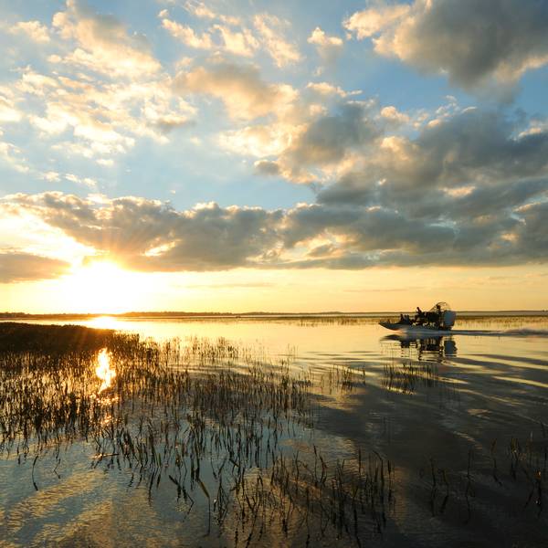 Airboat tours Kissimmee - Florida - Doets Reizen