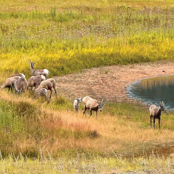 Rocky Mountain National Park Hike Aspire Tours - Denver - Colorado - Amerika - Doets Reizen