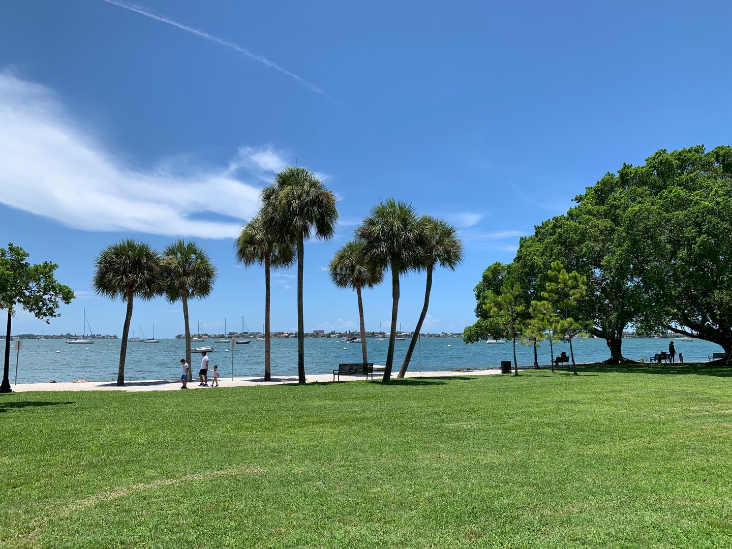 Bayfront Park - Sarasota - Florida - Doets Reizen