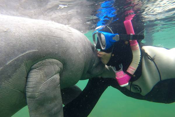 Crystal River - Florida - Doets Reizen