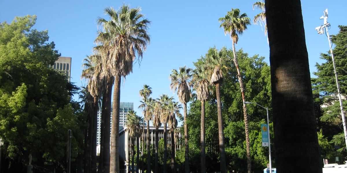 Sacramento - California - Amerika - Doets Reizen