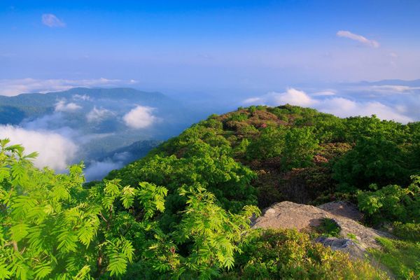 Asheville - North Carolina - Amerika - Doets Reizen