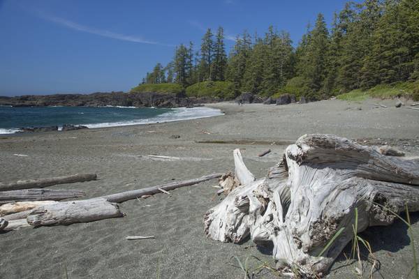 Pacific Rim National Park - Vancouver Island - British Columbia - Canada - Doets Reizen