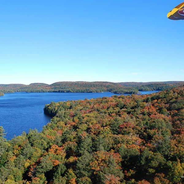 Algonquin Provincial Park - Ontario - Canada - Doets Reizen