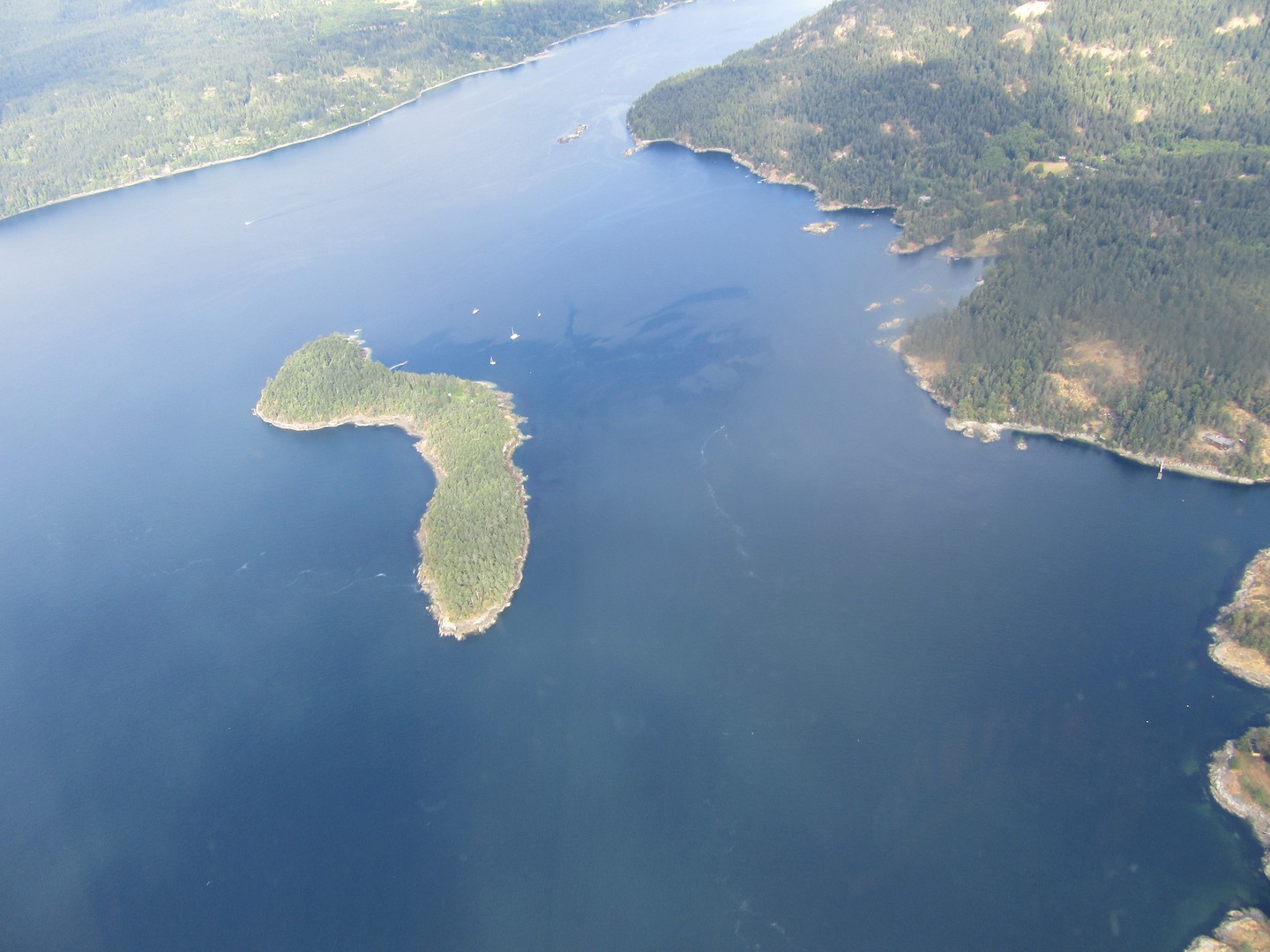 Watervliegtuig Vancouver - British Columbia - Canada - Doets Reizen