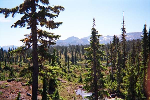 Strathcona Provincial Park - Vancouver Island - British Columbia - Canada - Doets Reizen