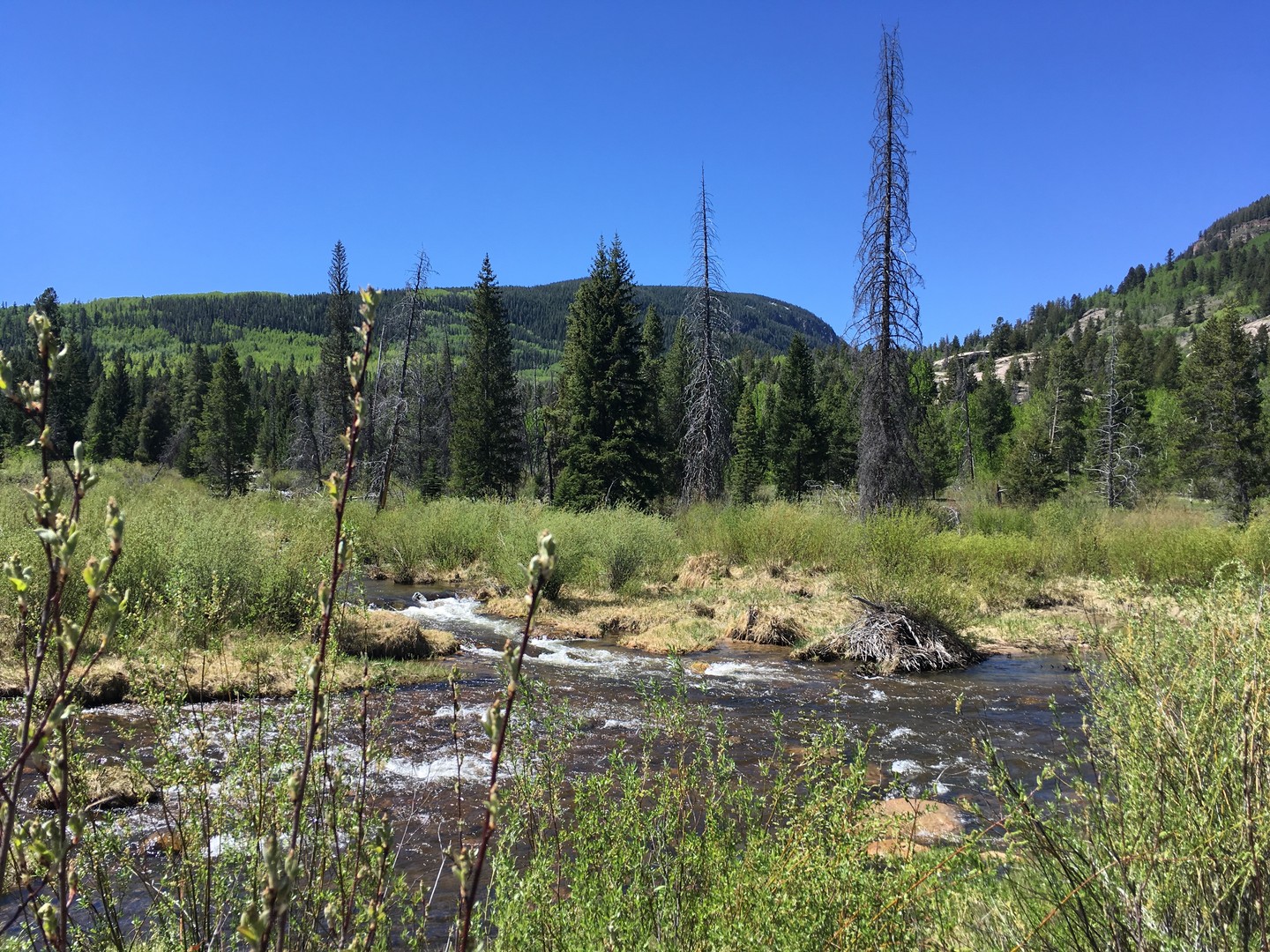 Vail - Colorado - Doets Reizen