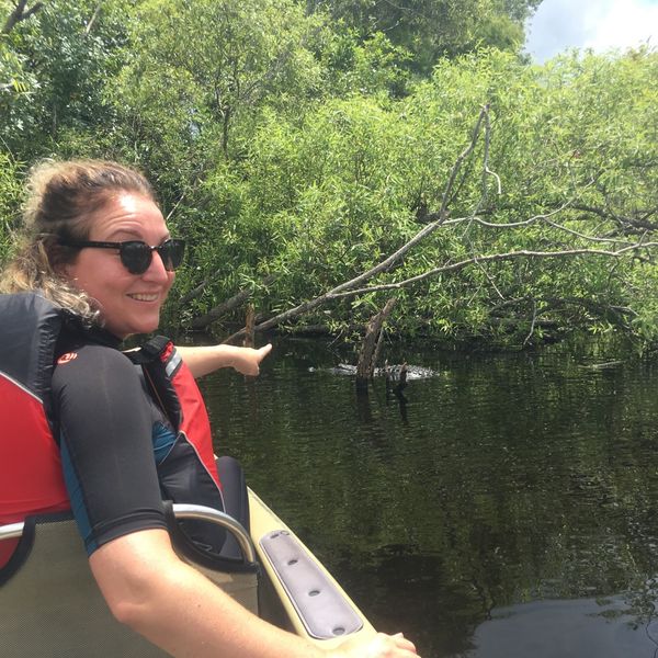 Mangrove Tunnel Tour - Everglades National Park - Florida - Doets Reizen