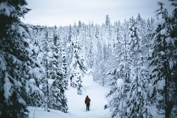 Fins Lapland Winter - Doets Reizen - Vakantie Finsland - Credits VisitLapland