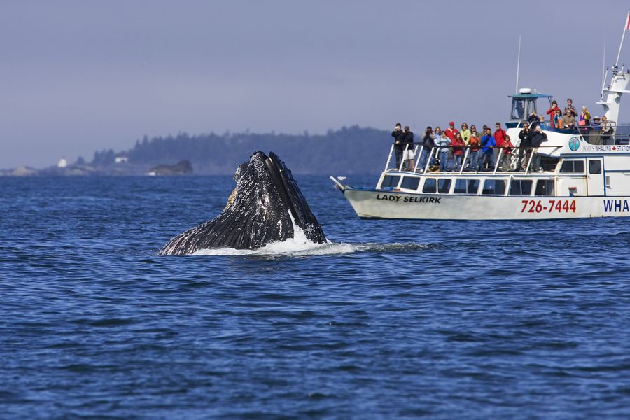 Pacific Rim National Park - Vancouver Island - British Columbia - Canada - Doets Reizen