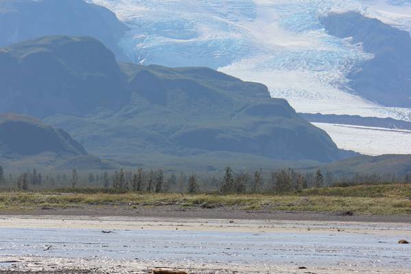 Beren spotten - Katmai National Park - Alaska - Doets Reizen