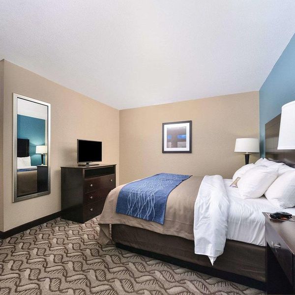 Comfort Inn & Suites Springfield - kamer