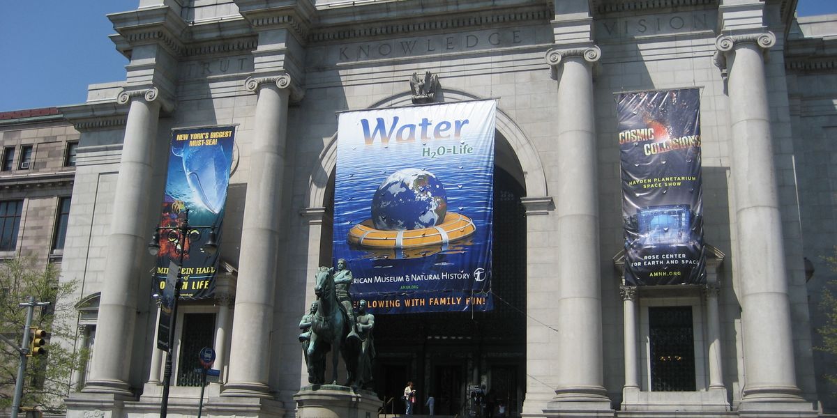 American Museum of National History - New York - Doets Reizen