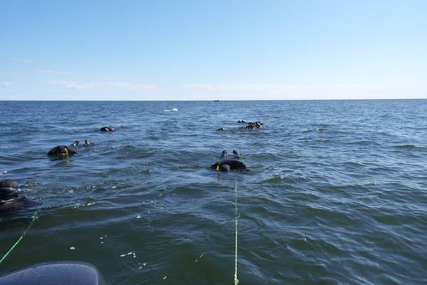 Churchill - Manitoba - Canada - Doets Reizen