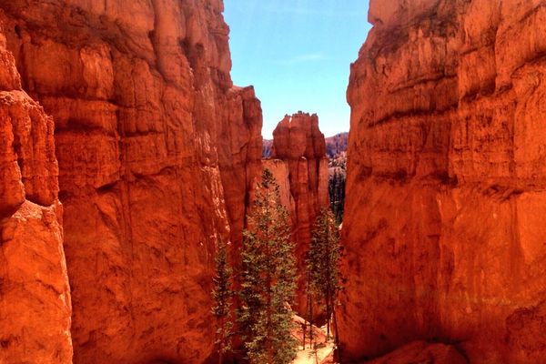 ​Bryce Canyon National Park - Utah - Doets Reizen