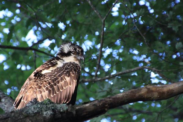 Kejimkujik National Park - Nova Scotia - Canada - Doets Reizen