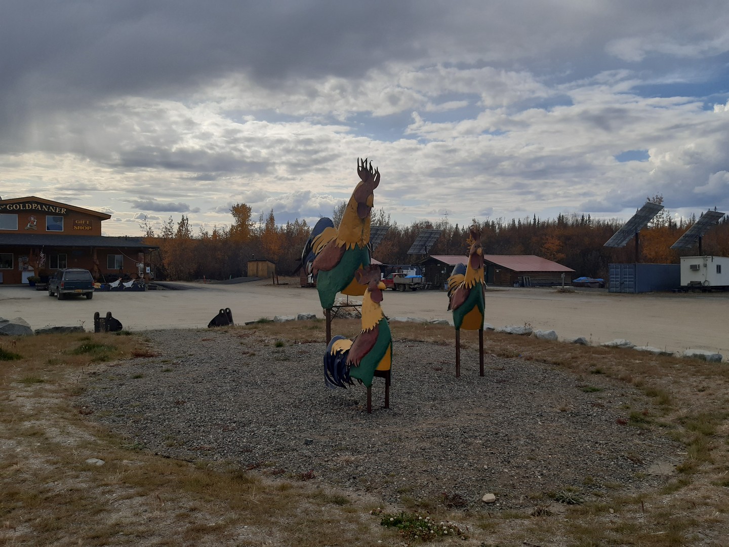 Chicken - Alaska - Doets Reizen