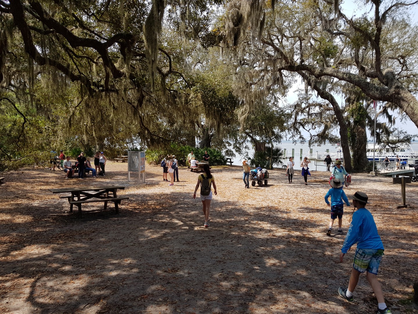 Cumberland Island National Seashore - Georgia - Amerika - Doets Reizen