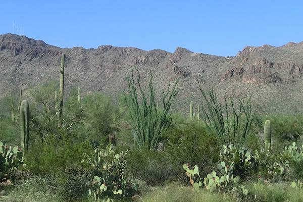 Tucson - Arizona - Doets Reizen