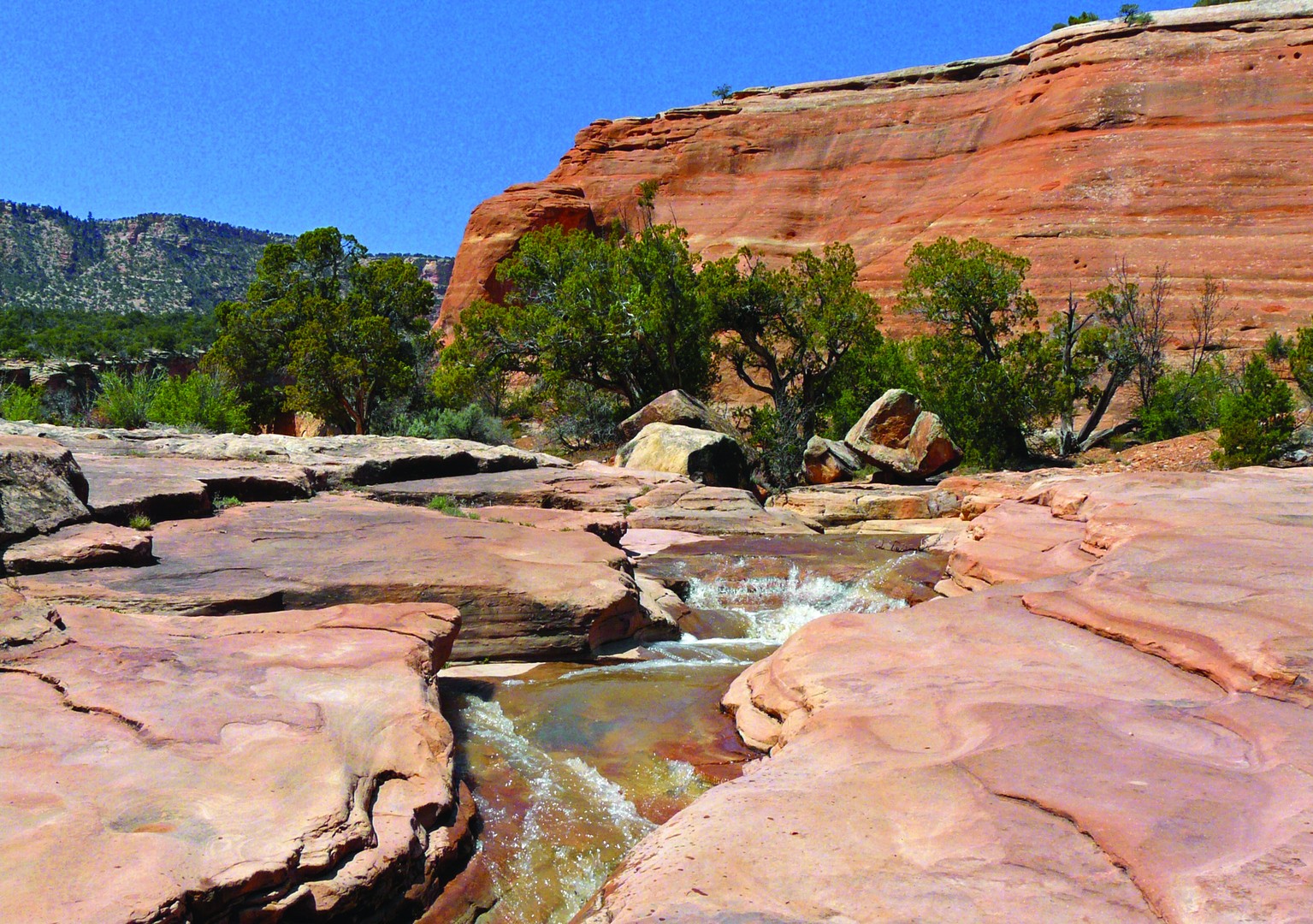 Grand Junction - Colorado - Doets Reizen