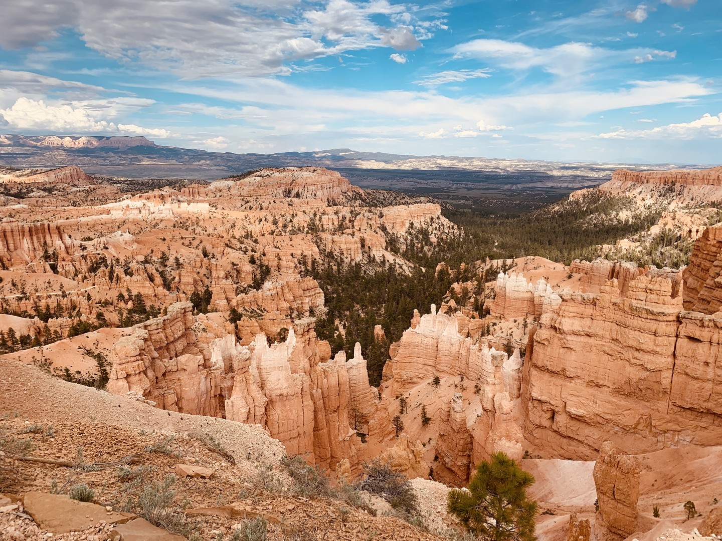 Bryce Canyon National Park - Utah - Doets Reizen