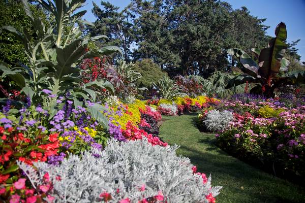 Victoria - Vancouver Island - British Columbia - Canada - Doets Reizen