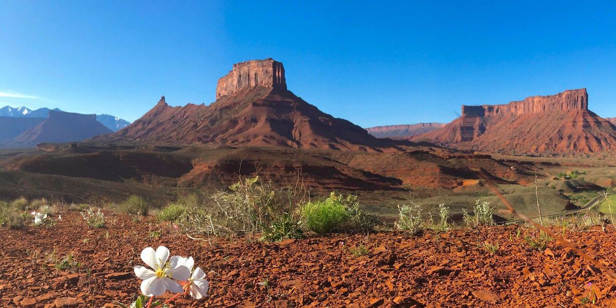 Sorrel River Ranc - Moab - Arches National Park - Canyonlands National Park - Doets Reizen