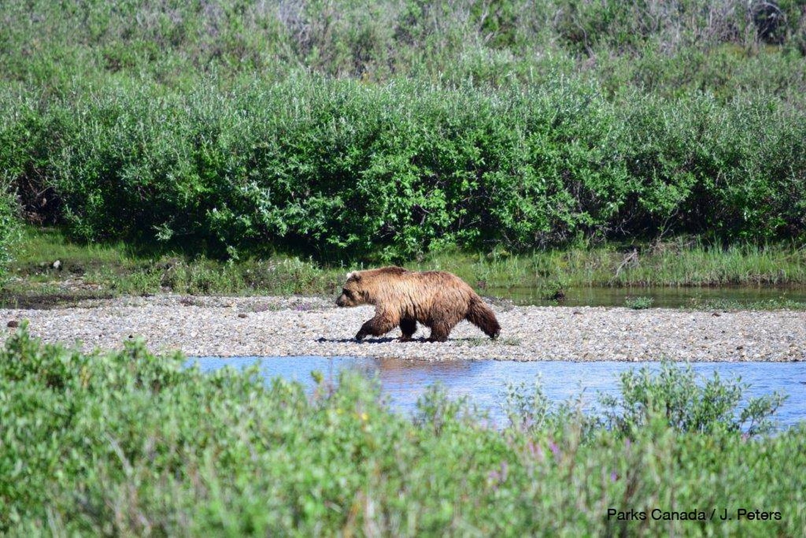 Kluane National Park - Yukona - Canada - Doets Reizen