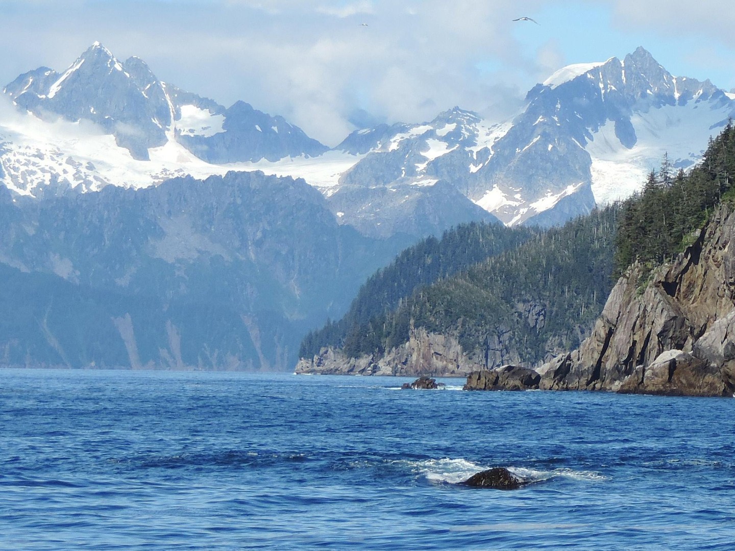 Kenai Fjords National Park - Alaska - Doets Reizen