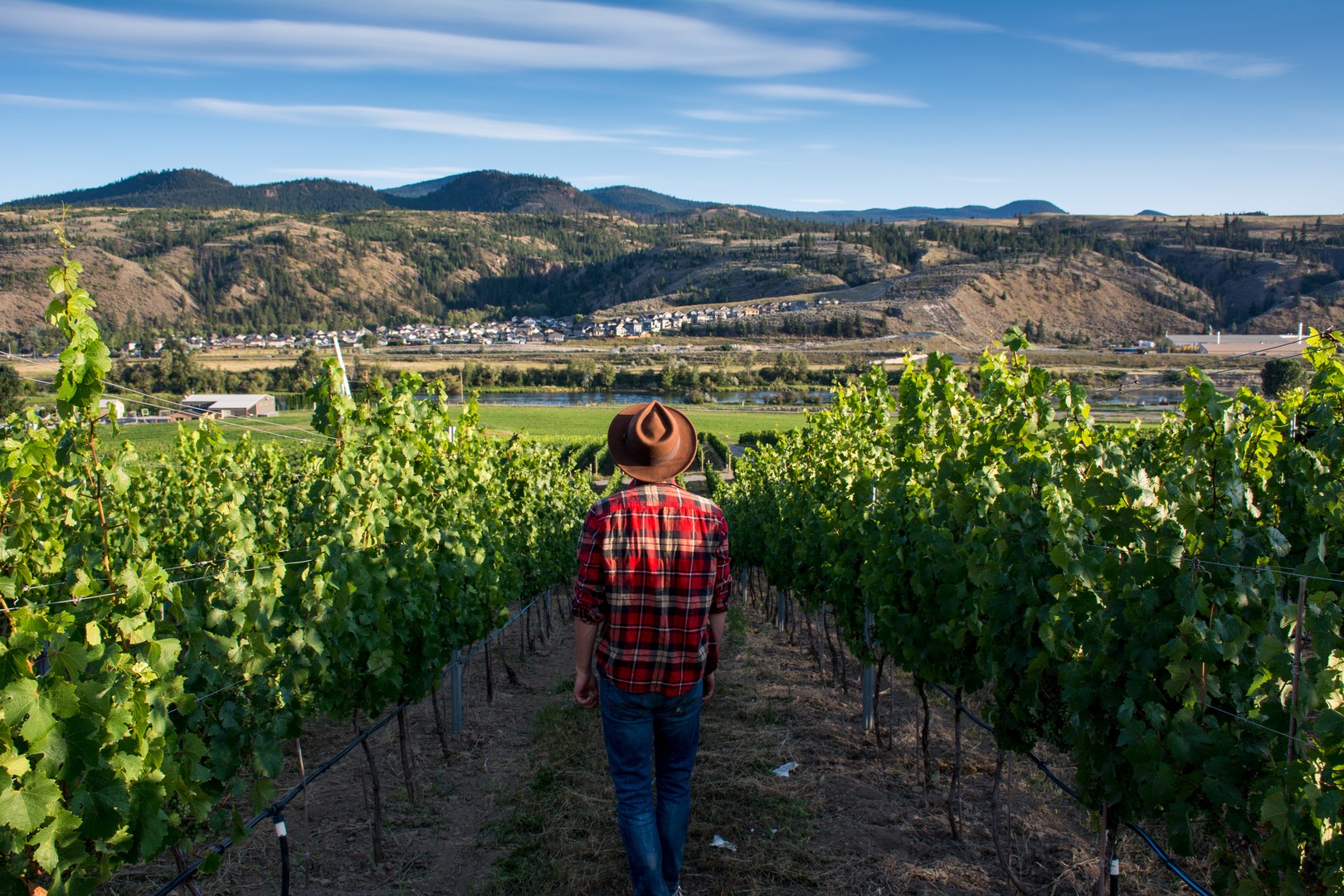 Harper's Trail Winery - Kamloops - British Columbia - Canada - Doets Reizen