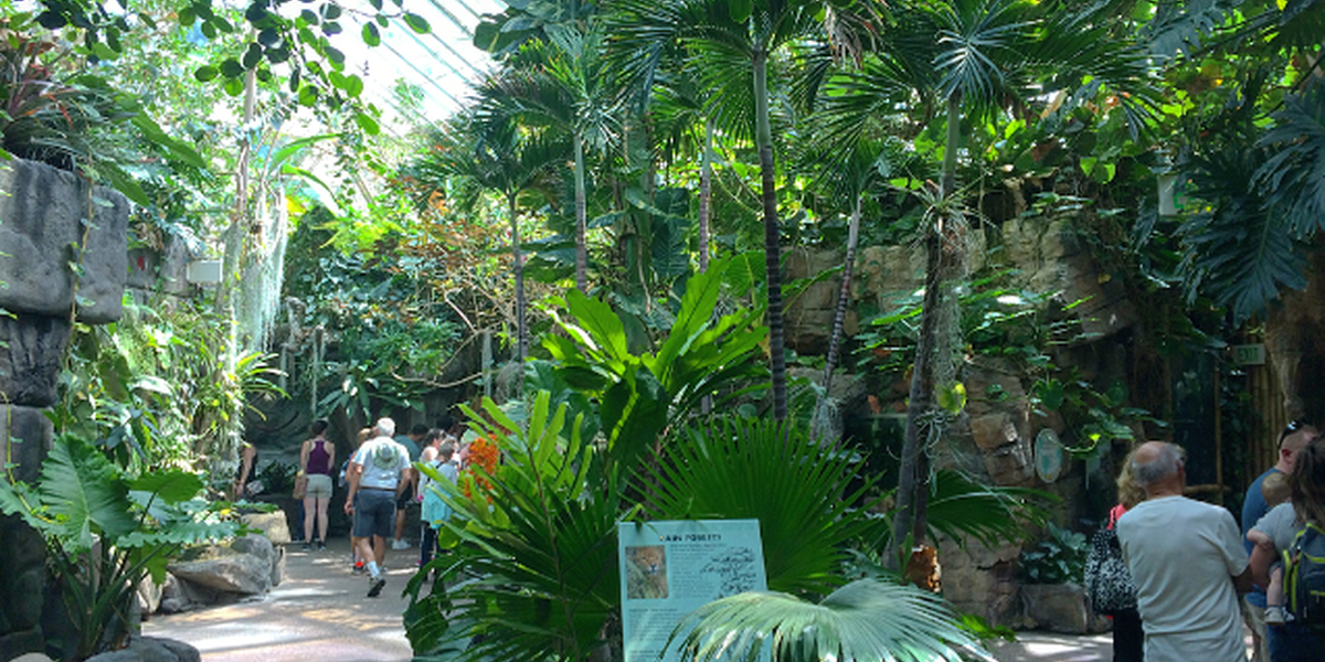 Denver Zoo - Denver - Colorado - Doets Reizen