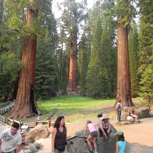 Sequoia National Park - California - Amerika - Doets Reizen