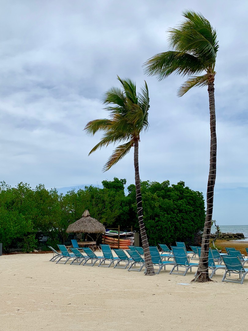 Ocean Pointe Suites - Hotel - Florida - Doets Reizen