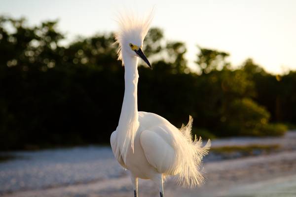 Sanibel Island - Captiva Island - Florida - Doets Reizen