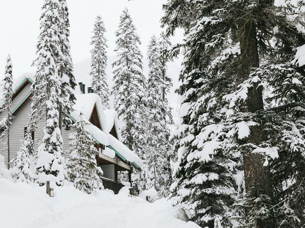 Emerald Lake Lodge in de winter - Doets Reizen - Wintersport Canada
