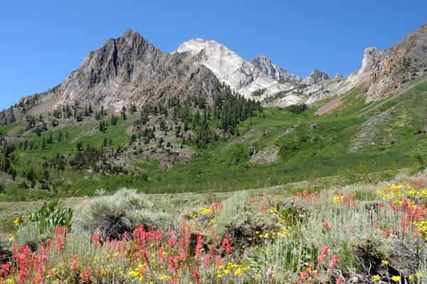 Mammoth Lakes - California - Amerika - Doets Reizen