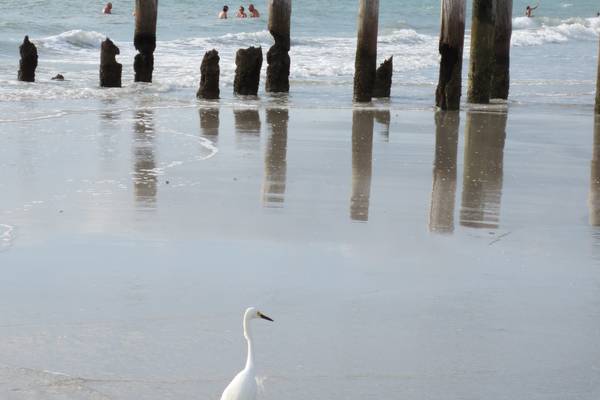 Naples - Florida - Doets Reizen