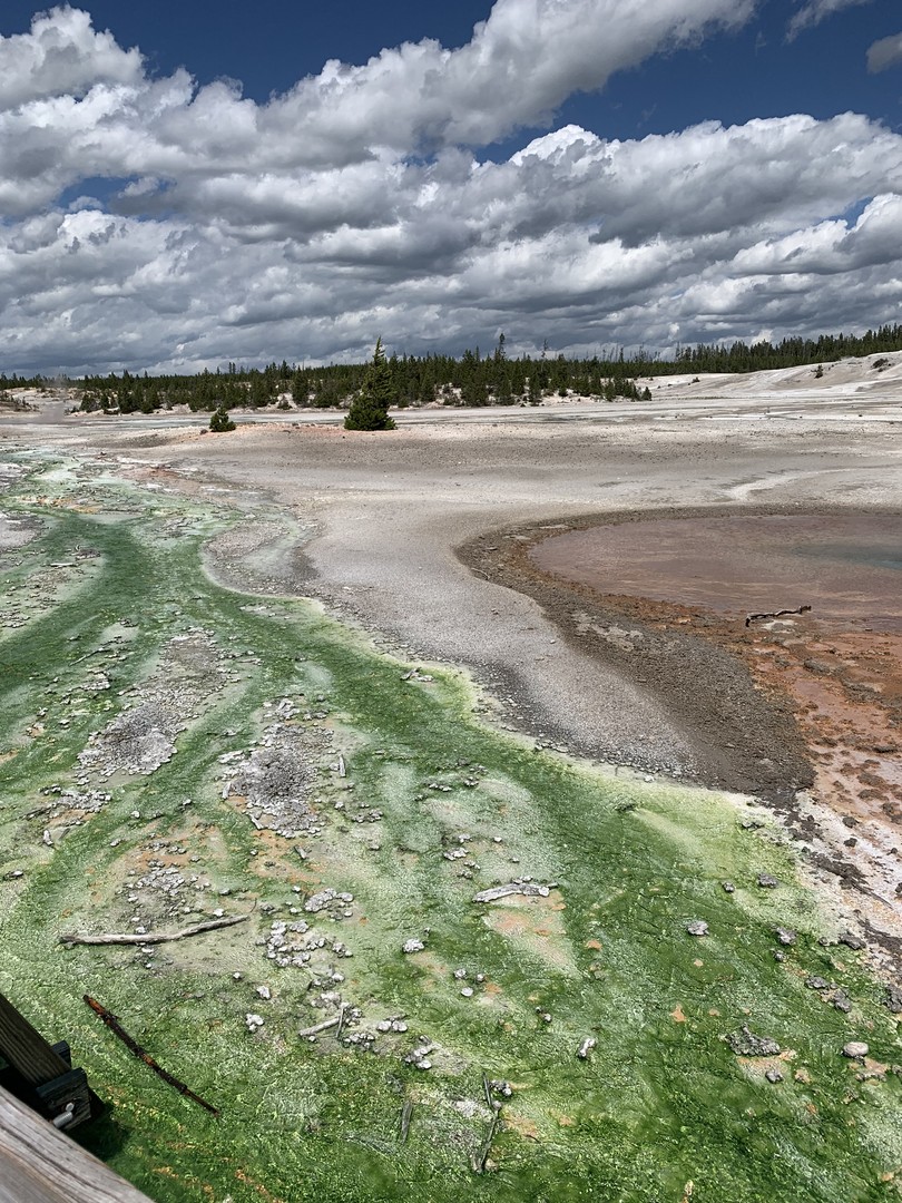 Yellowstone National Park - Wyoming - Doets Reizen