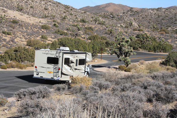 Een tussenstop bij de Joshua Trees