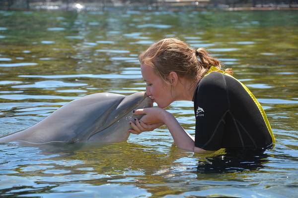 Discovery Cove - Orlando - Florida - Doets Reizen