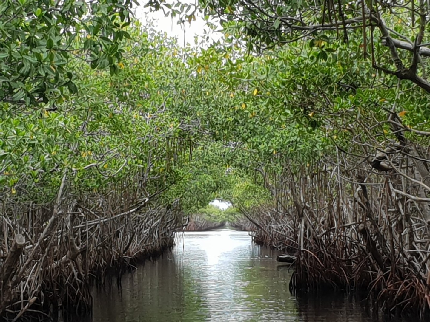 Airboat Tour Everglades National Park - Florida - Doets Reizen