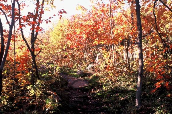 Indian Summer - Mont Tremblanc - Quebec - Canada - Doets Reizen
