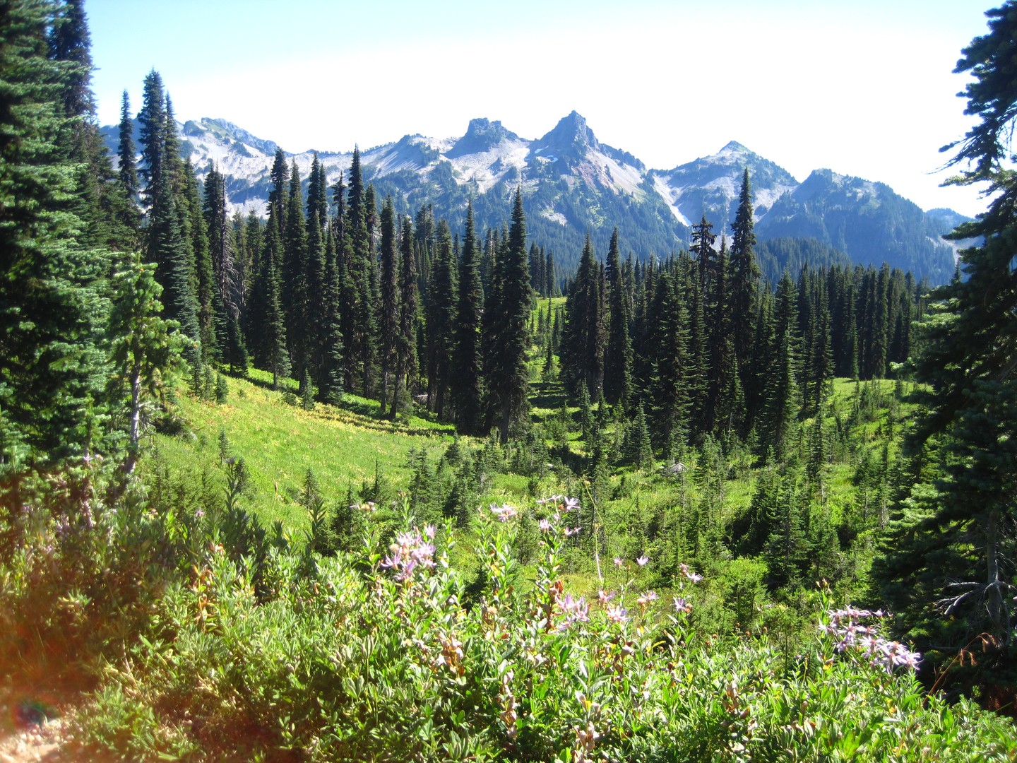 Mount Rainier National Park - Washington State - Doets Reizen