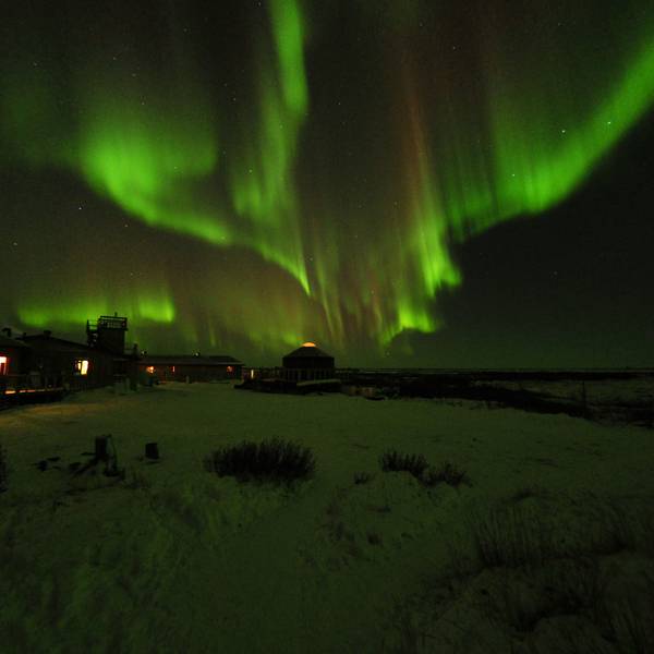 Churchill Wild Buiten